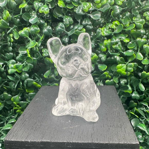 🚫SOLD🚫Clear Quartz Frenchie Dog Carving - Picture 3 of 7